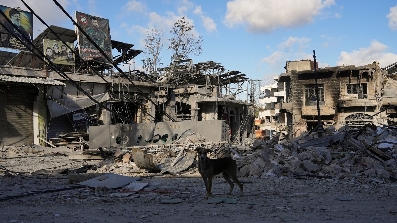 Un gos entre les runes, després dels bombardejos israelians a la ciutat libanesa de Nabatieh