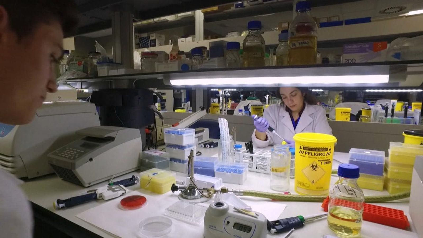 Un estudi sobre la microbiota pot ajudar a previndre malalties com el càncer o la diabetis