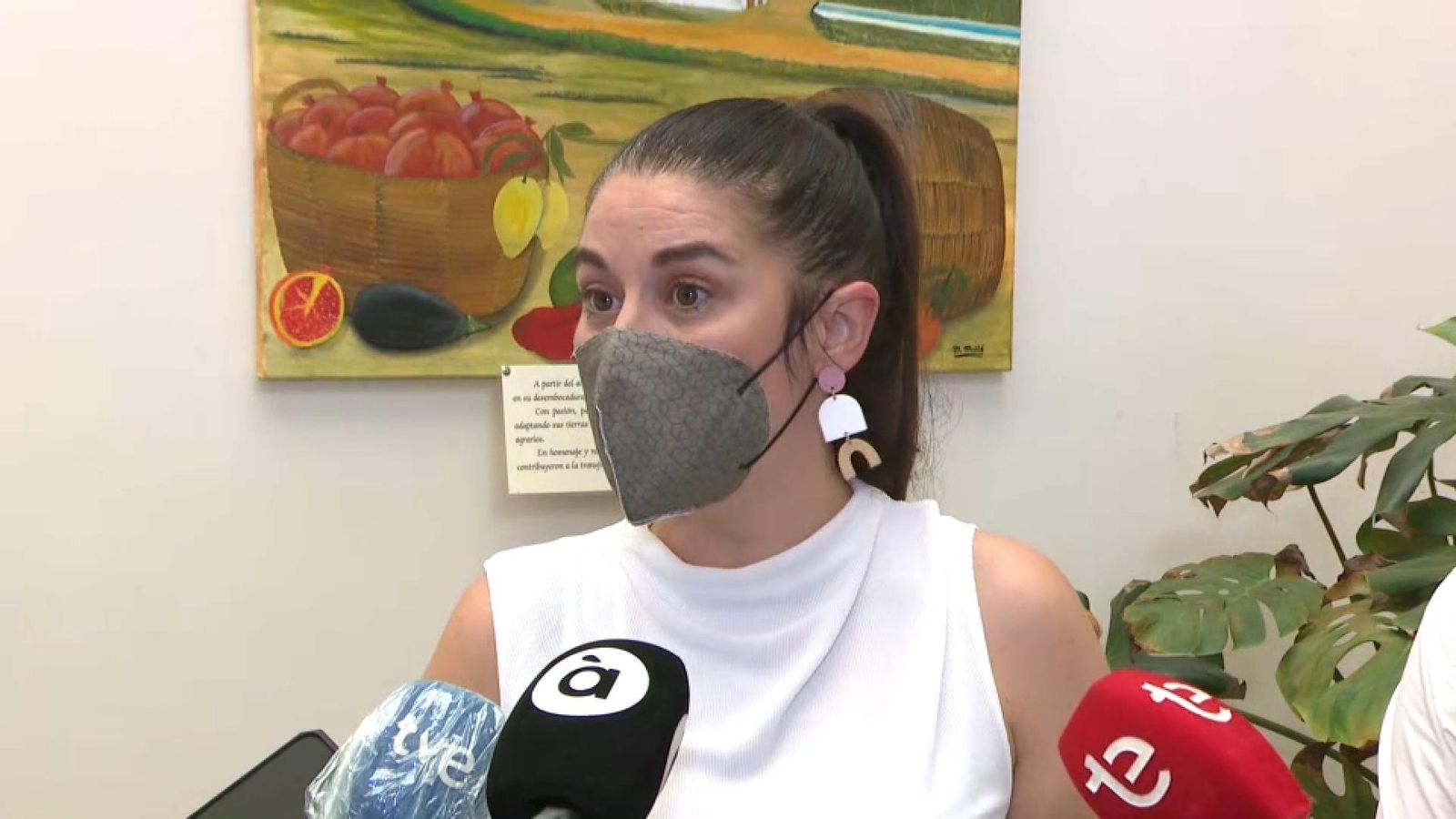 Mollà, aquest dimecres, en Elx