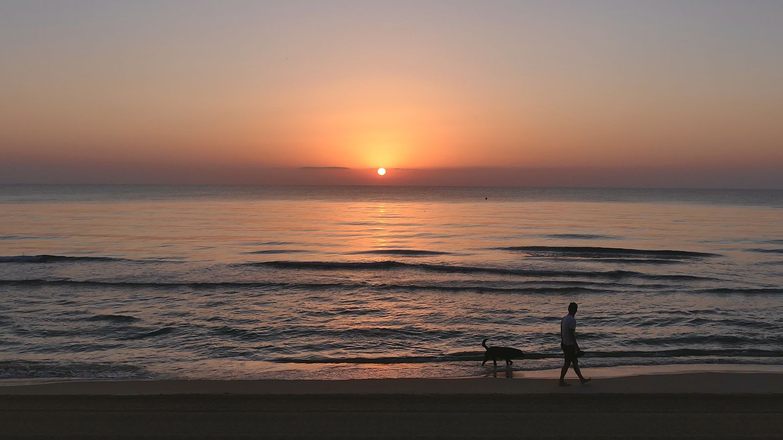 SUECA, LA RIBERA BAIXA