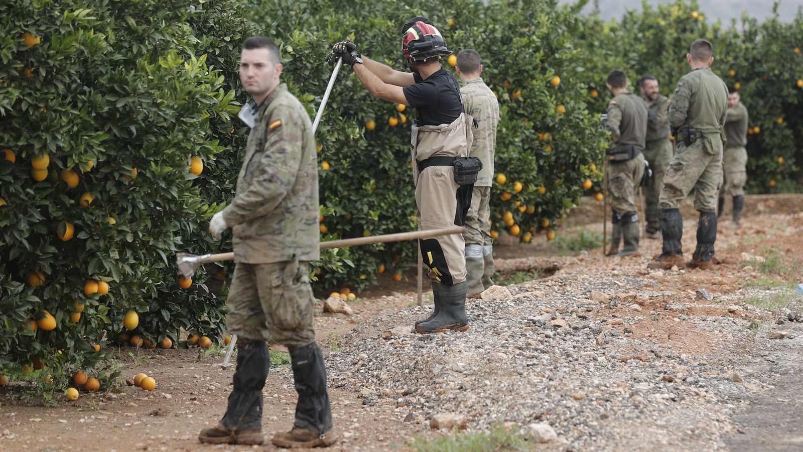 Camp de taronjes afectat per la DANA a Lorguilla (Camp de Túria)