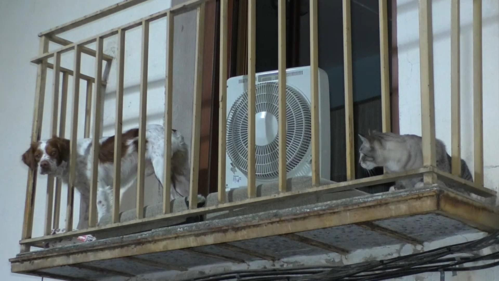 La nit ha superat els 27 ºC a localitats dels Ports, l'Alcalaten i l'Alt Maestrat, a l'interior de Castelló