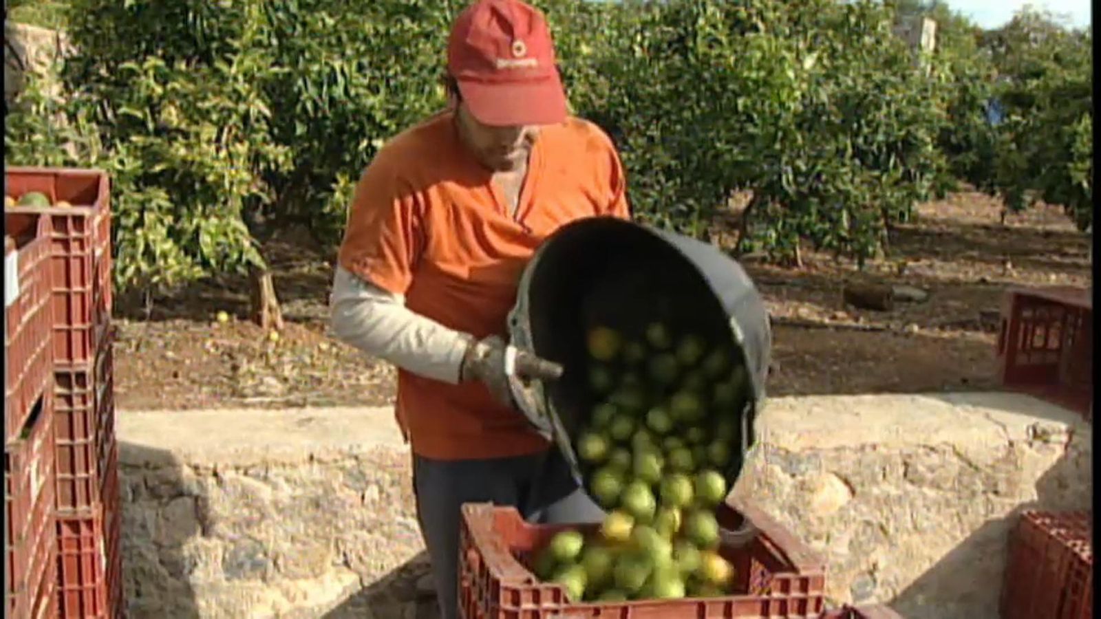 La Unió alerta de la davallada del preu de la fruita d\'estiu