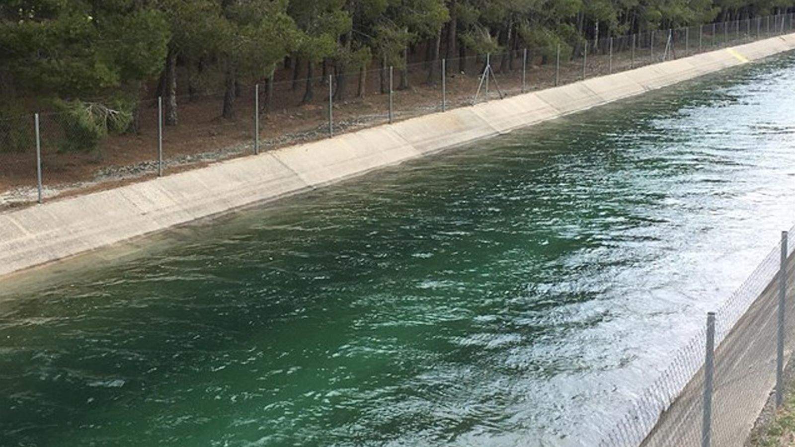 Els regants valencians reclamen a Torrevella l\'aigua del transvasament Tajo-Segura