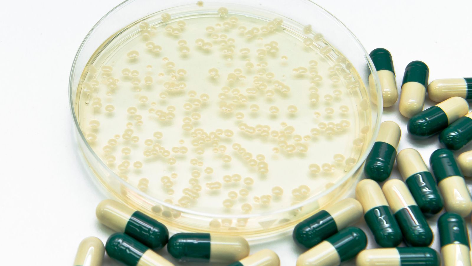 Recreació d'una placa de Petri amb diverses càpsules de medicació