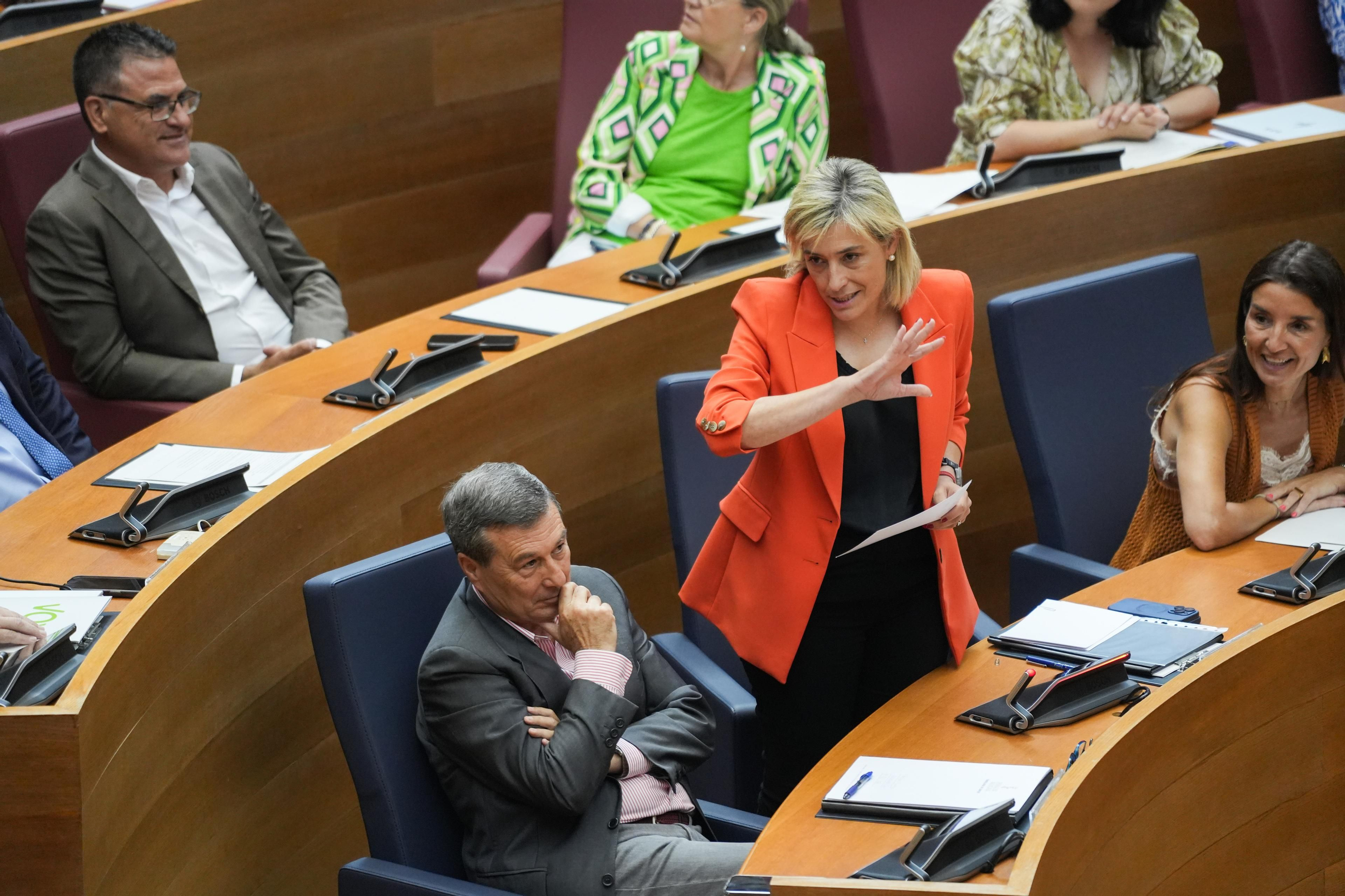 La consellera de Justícia i Interior, Elisa Núñez, este dijous a les Corts La consellera de Justícia i Interior, Elisa Núñez, este dijous en les Corts