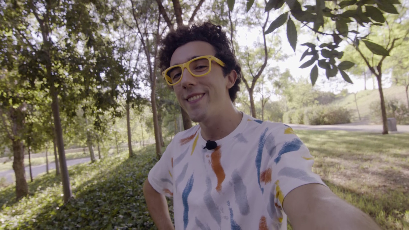 La Colla Animal | Animals amb llum pròpia