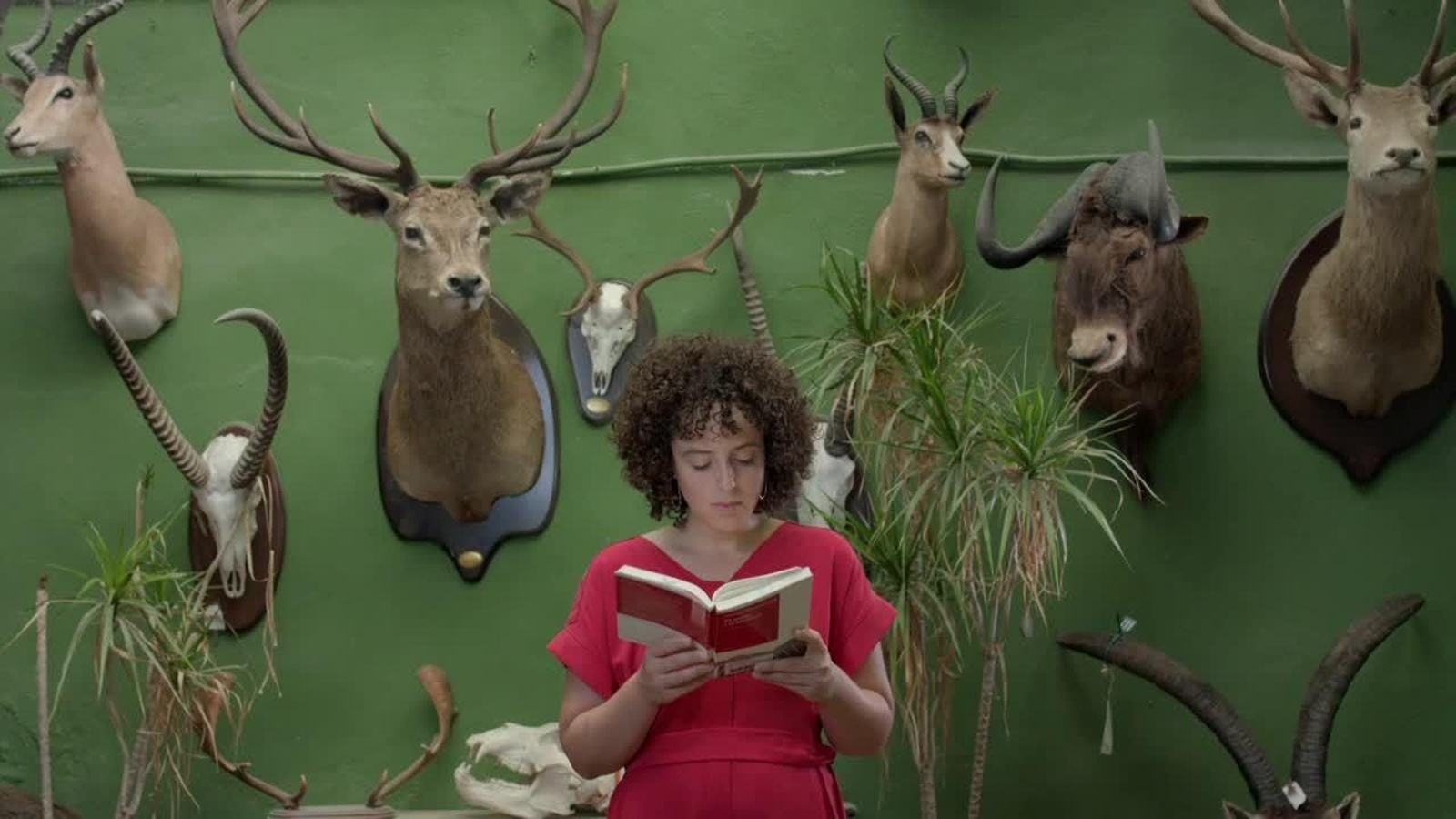 04.11.2018 | El mapa i el territori