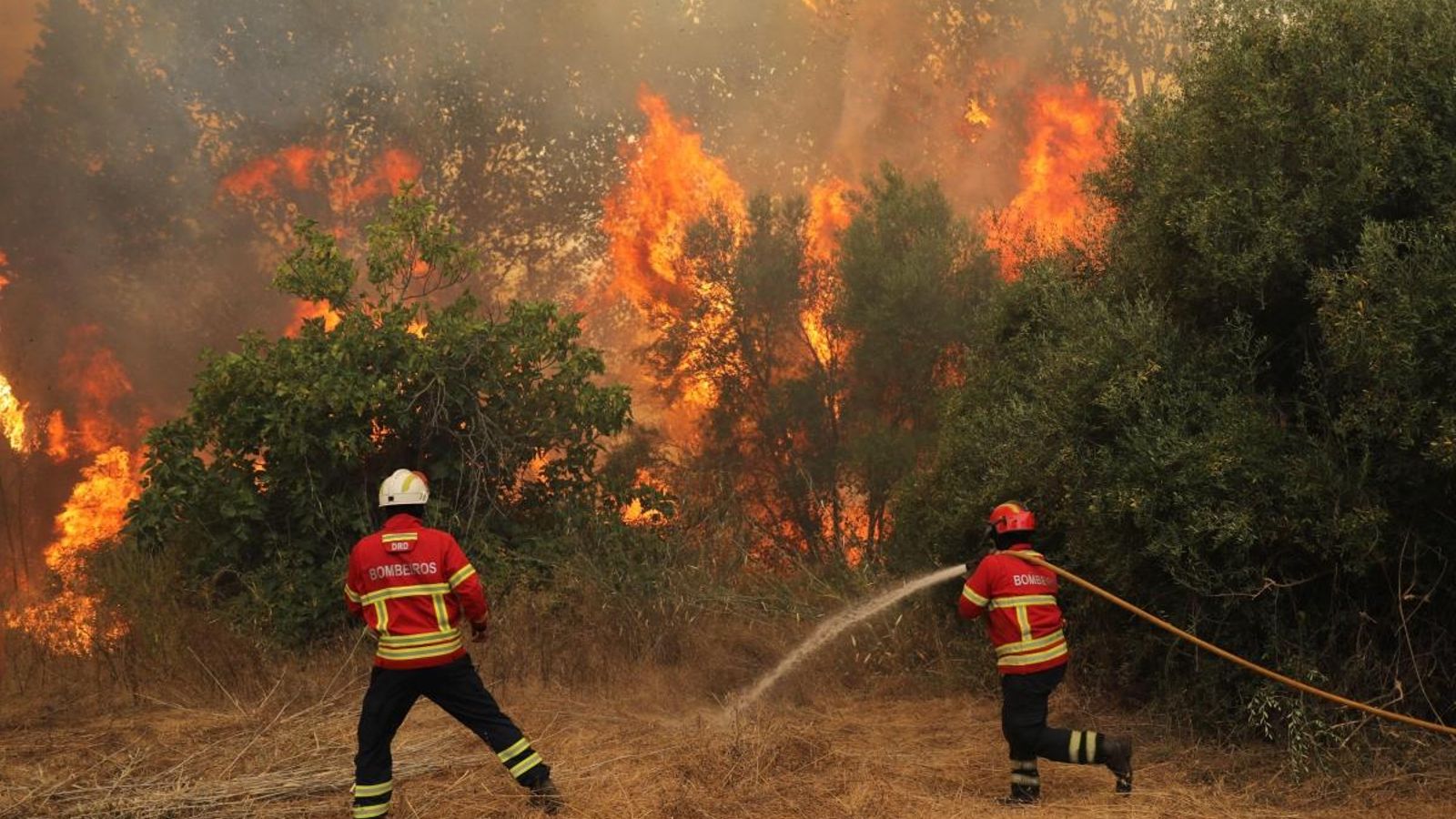 Els bombers tracten d'extingir les flames de l'incendi declarat a l'àrea de Monchique