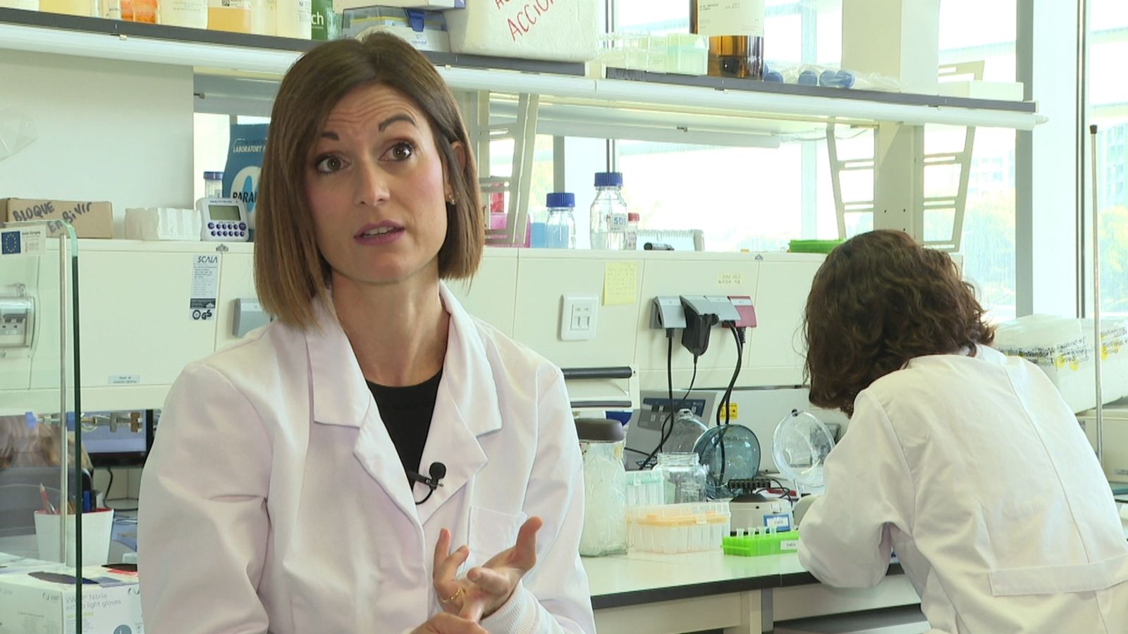 Pilar Domingo Calap encapçala una investigació que ha identificat un virus bacteriòfag contra la xil·lela