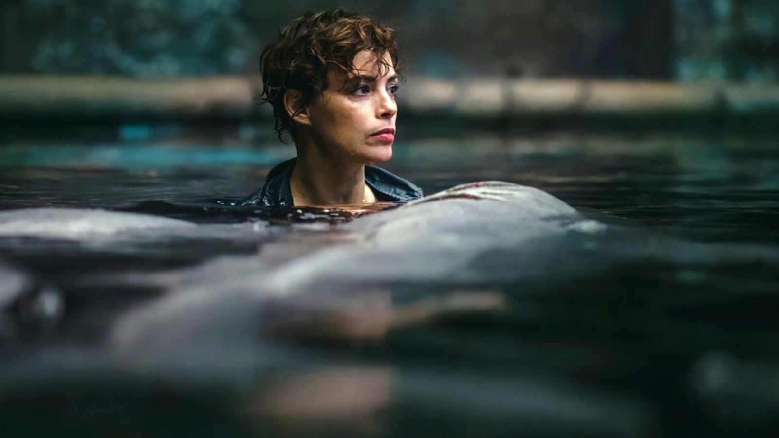 04.07.2023 | 'Sharks in Paris', la nova producció de Netflix rodada a la Ciutat de la Llum d'Alacant