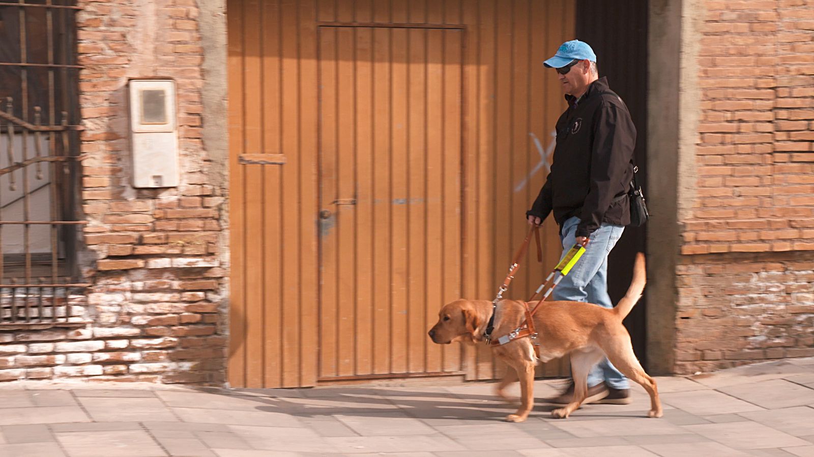Animalades | Canvi de domicili