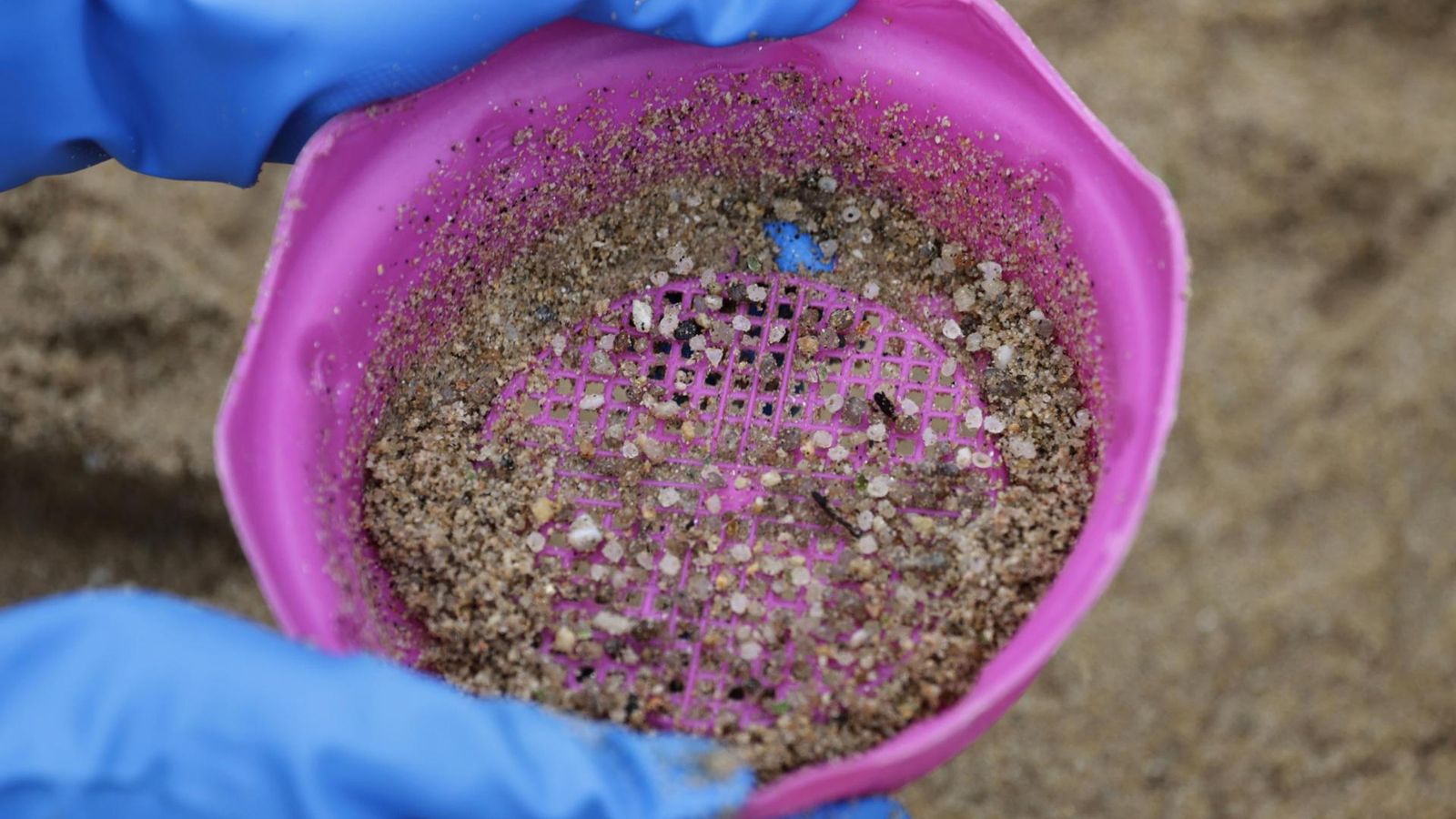 Restes de mocroplàstics arreplegades aquest dilluns a la platja corunyesa d'O Portiño (Galícia)