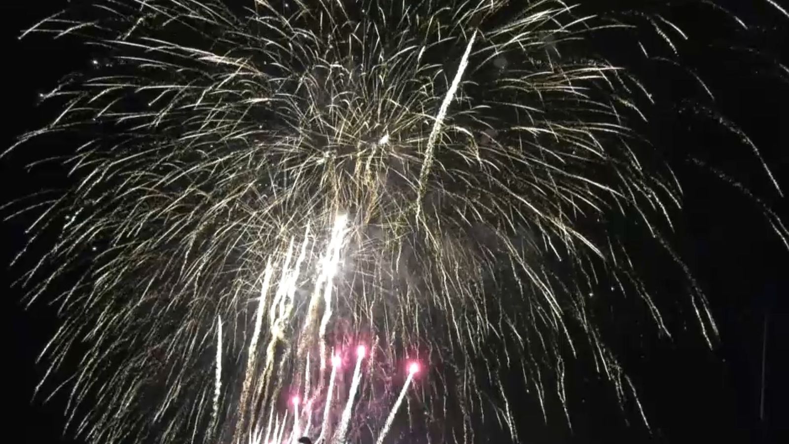 Algunes de les palmeres que es van disparar en el primer castell del llit del Túria d'estes Falles