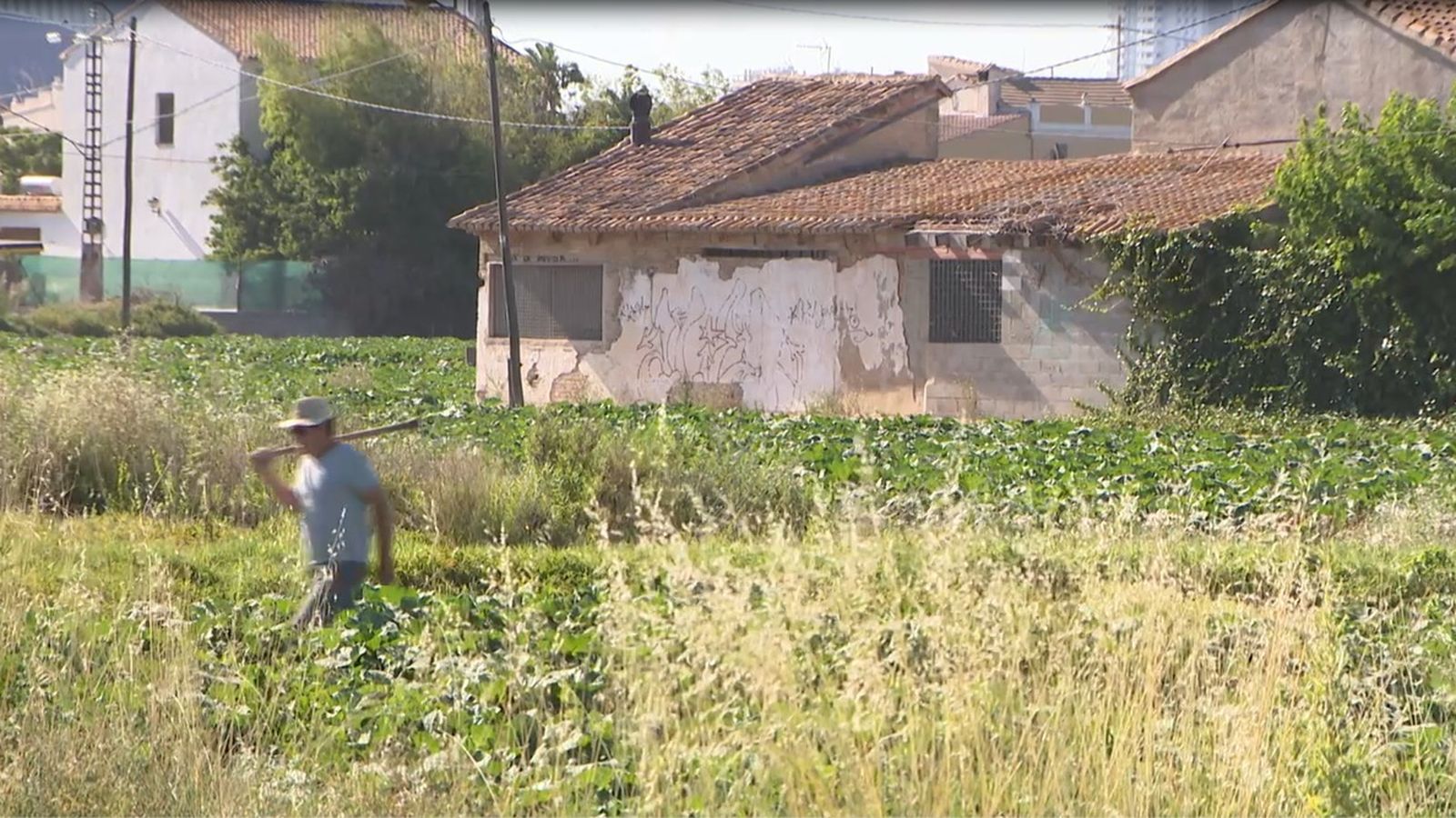 12.08.2019 | Entrevista a Marc Ferri, portaveu del Col·lectiu per l'Horta