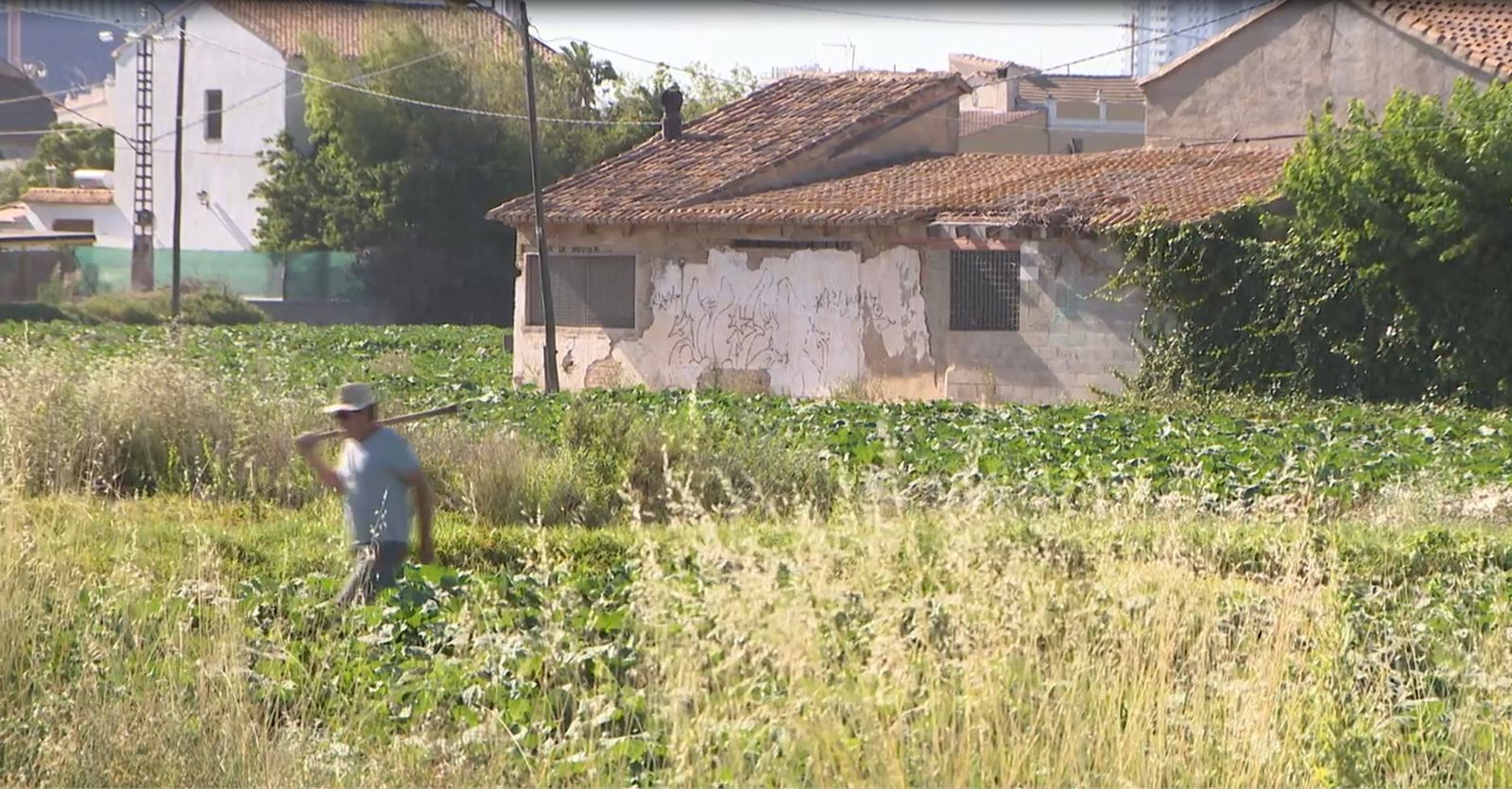 12.08.2019 | Entrevista a Marc Ferri, portaveu del Col·lectiu per l'Horta