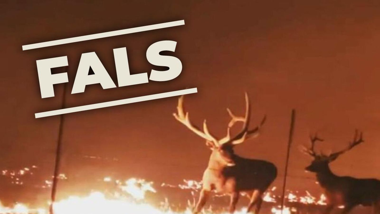 La imatge gravada a Montana que ha generat la confusió