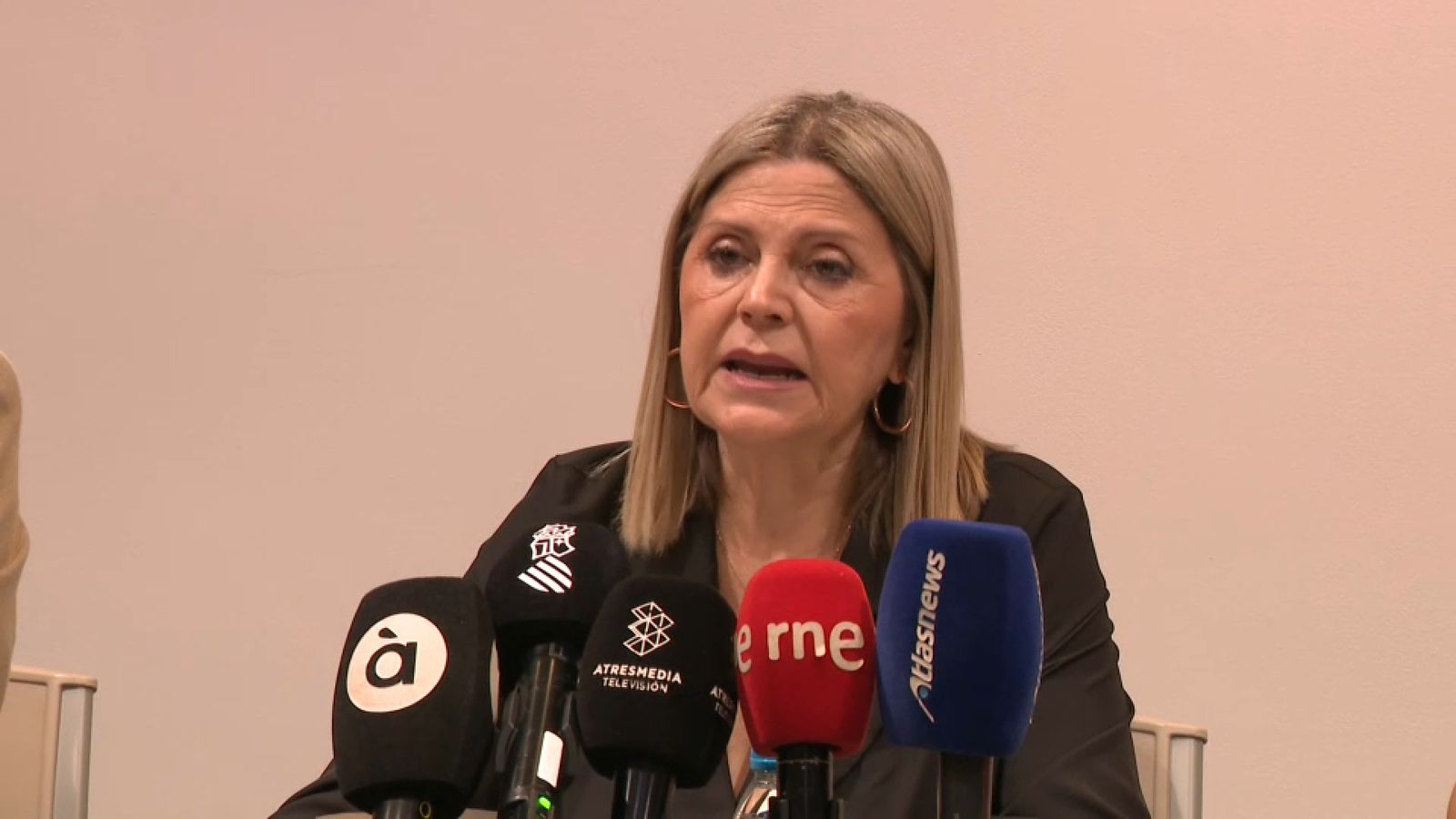 La consellera Carme Ortí en roda de premsa