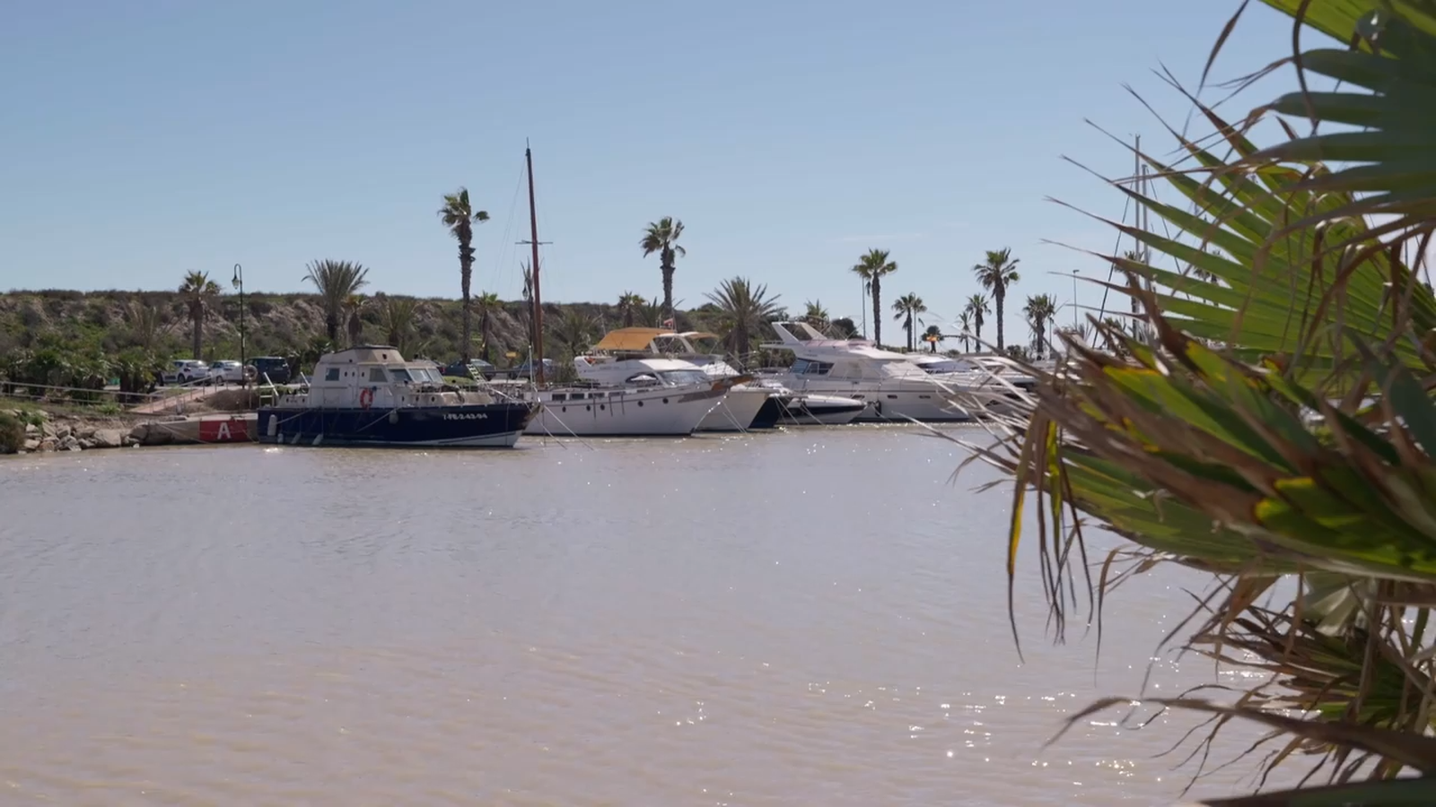 Voramar | Guardamar