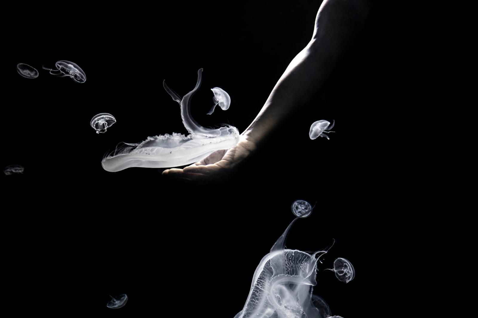 Fotografia de l'exposició 'Som aigua' 02