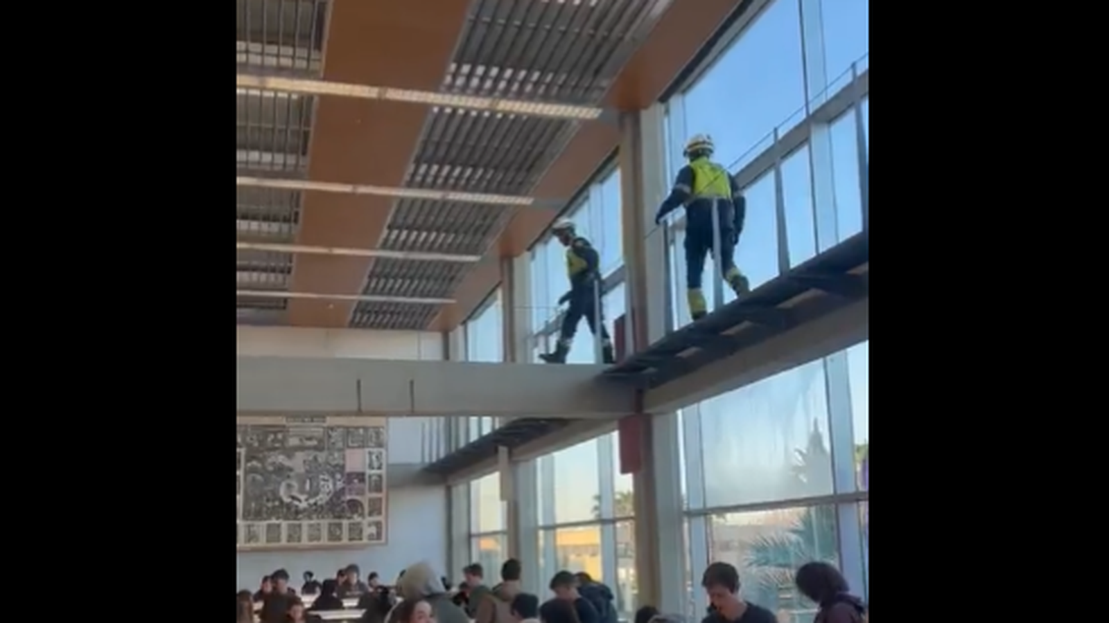 Els bombers han rescatat la cotorra a una sala d'estudi