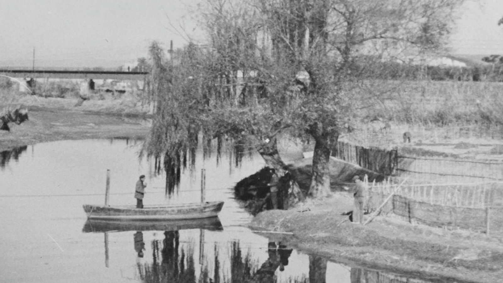 Cartell de l'exposició 'Abans del jardí'