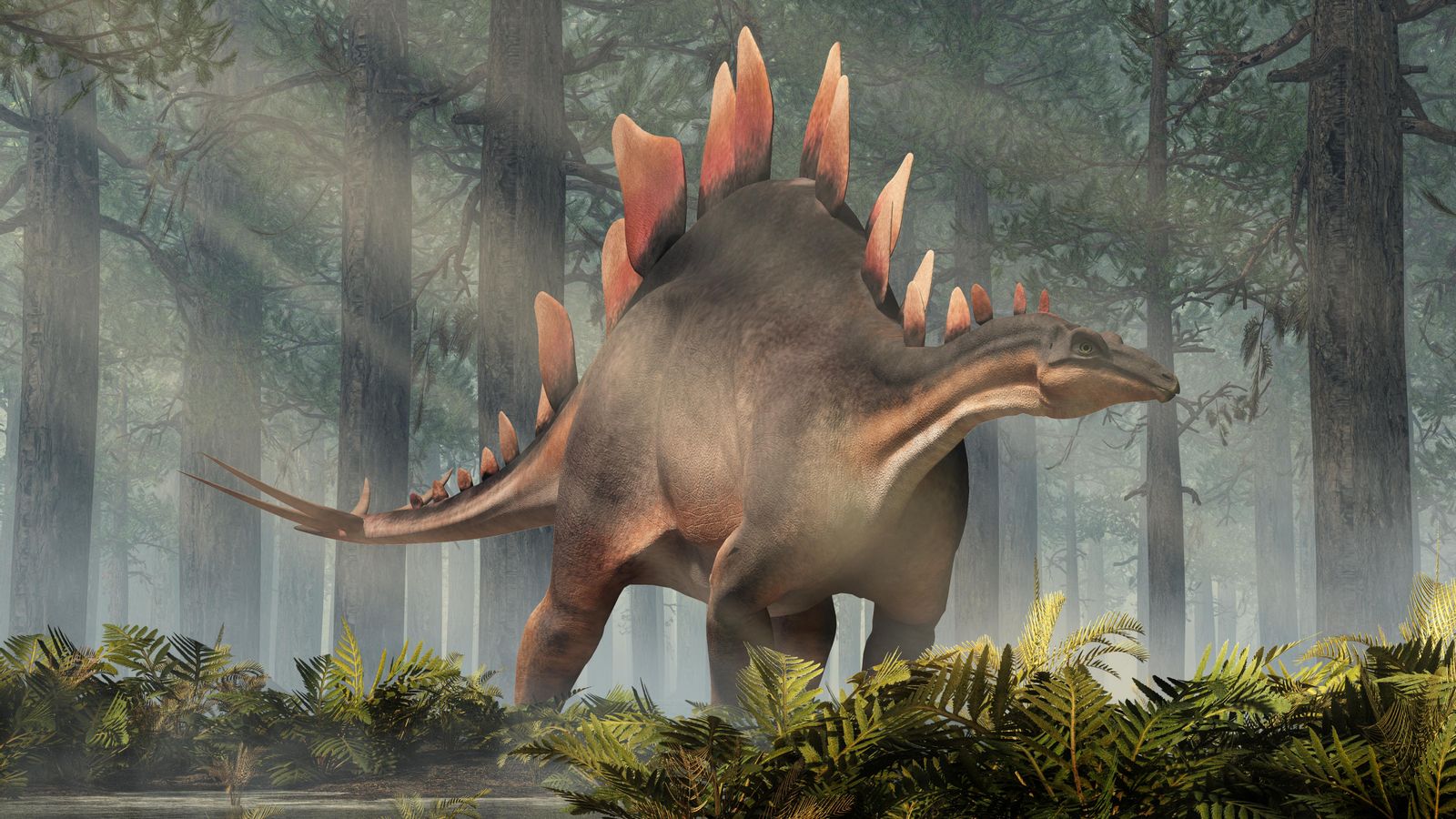 L'estegosaure era un dinosaure tireofòric. Herbívor, és un dels dinosaures més coneguts del període juràssic. Ací, un de gris i marró està parat en un bosc de l'era juràssica. Representació 3D.