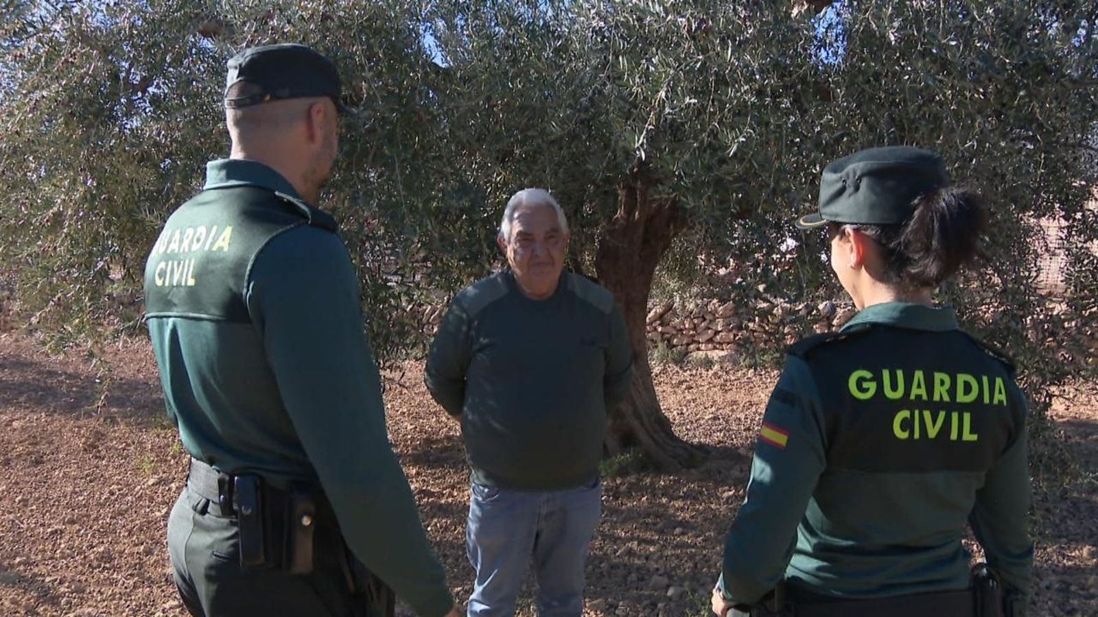L'atenció es concentra ara en la campanya de l'oliva