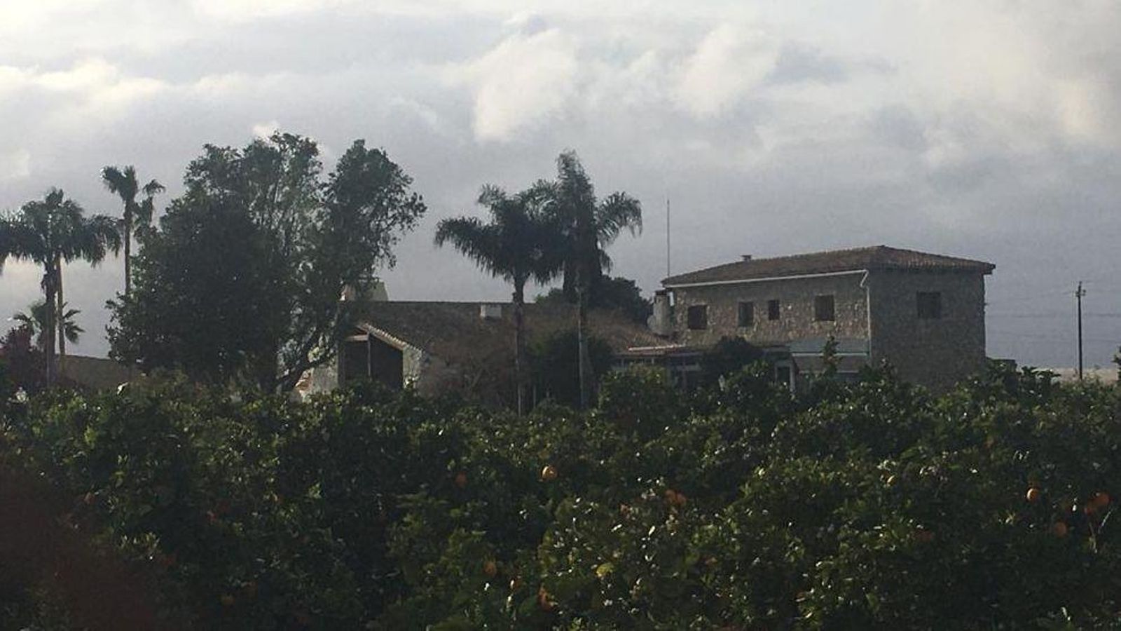 Imatge de la propietat on s'ha confiscat la col·lecció d'animals dissecats