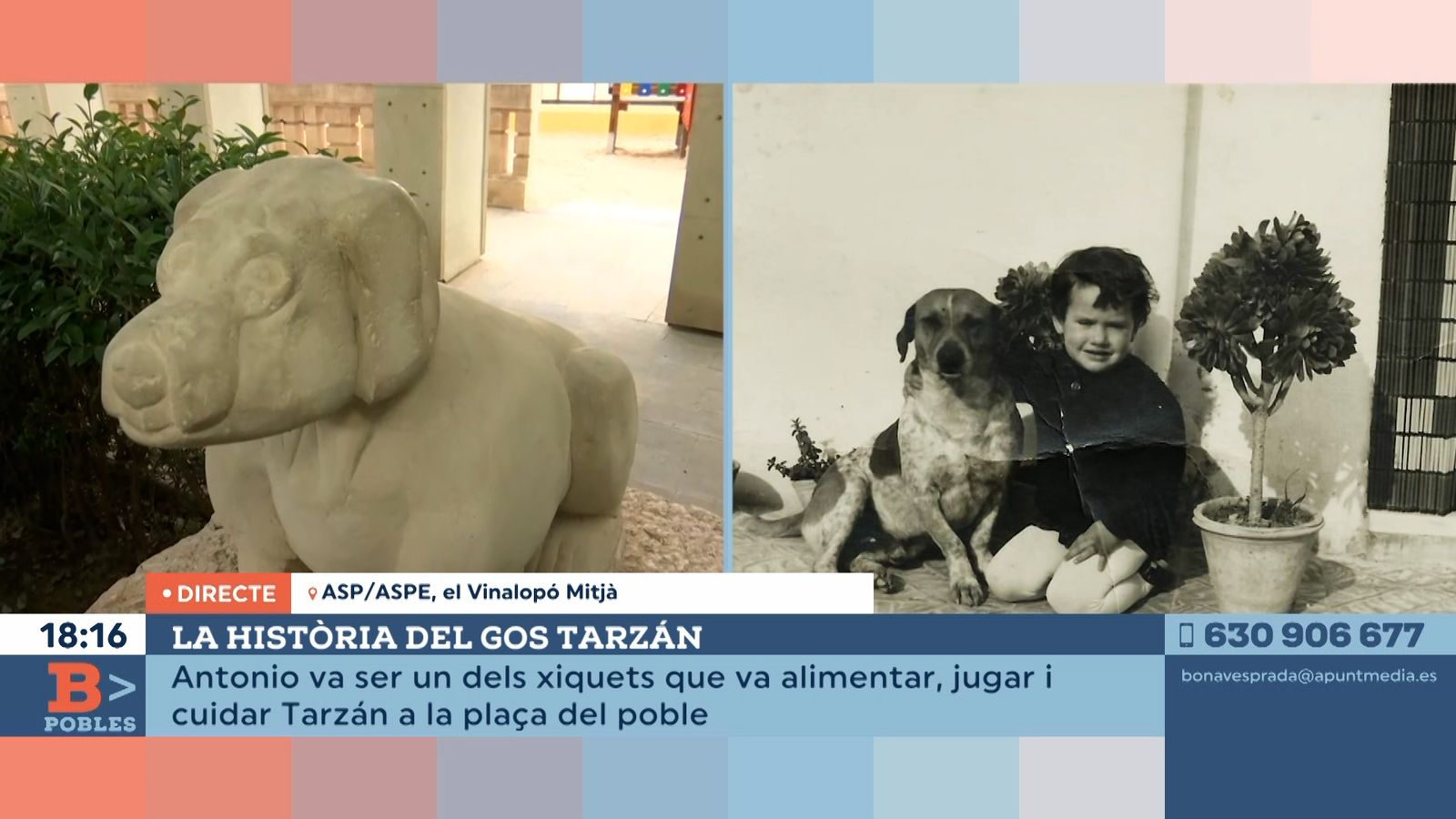 19.04.2022 | La història del gos Tarzán