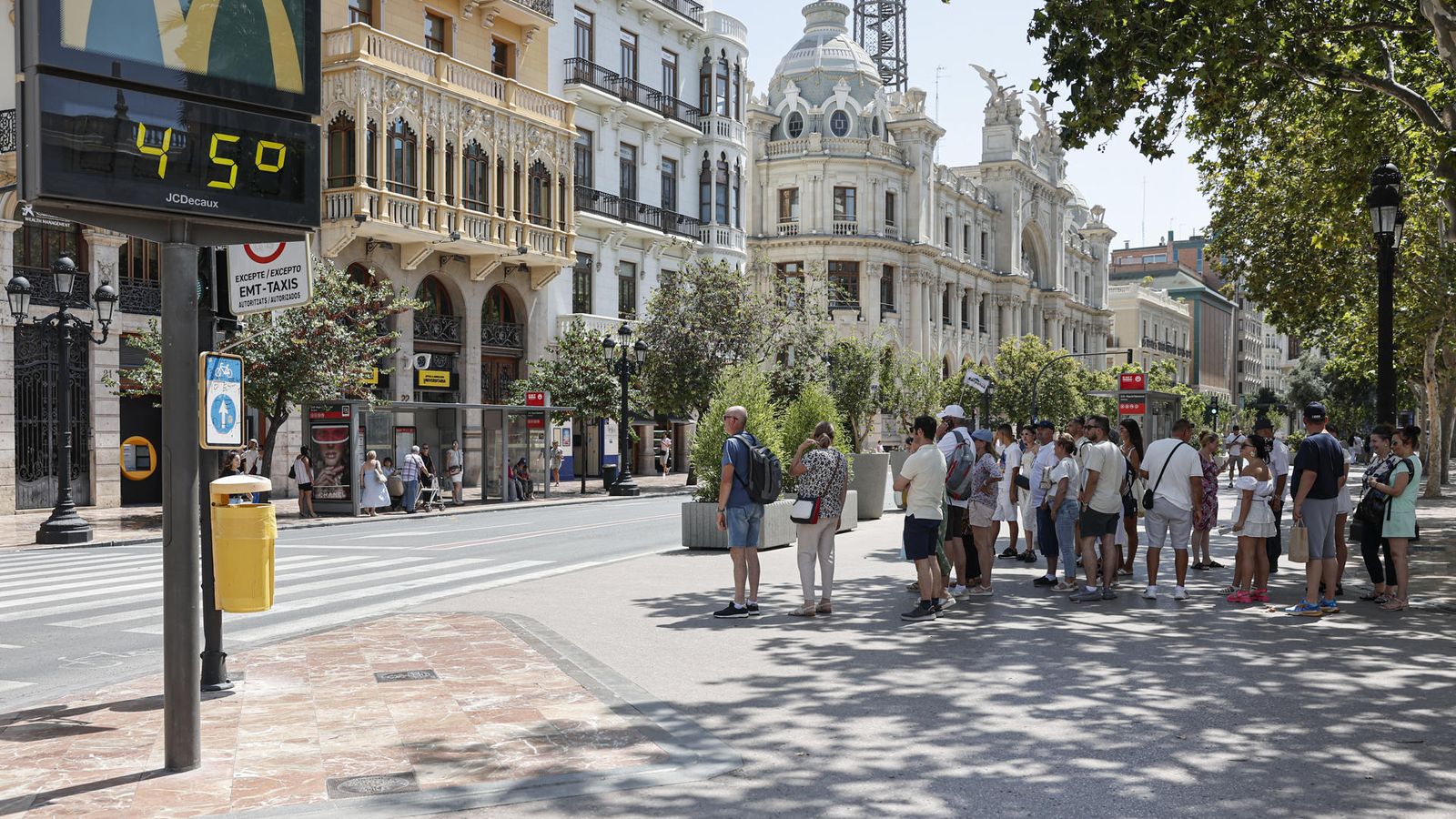 Diverses persones es protegixen del sol en l'ombra d'un arbre a la plaça de l'Ajuntament de València