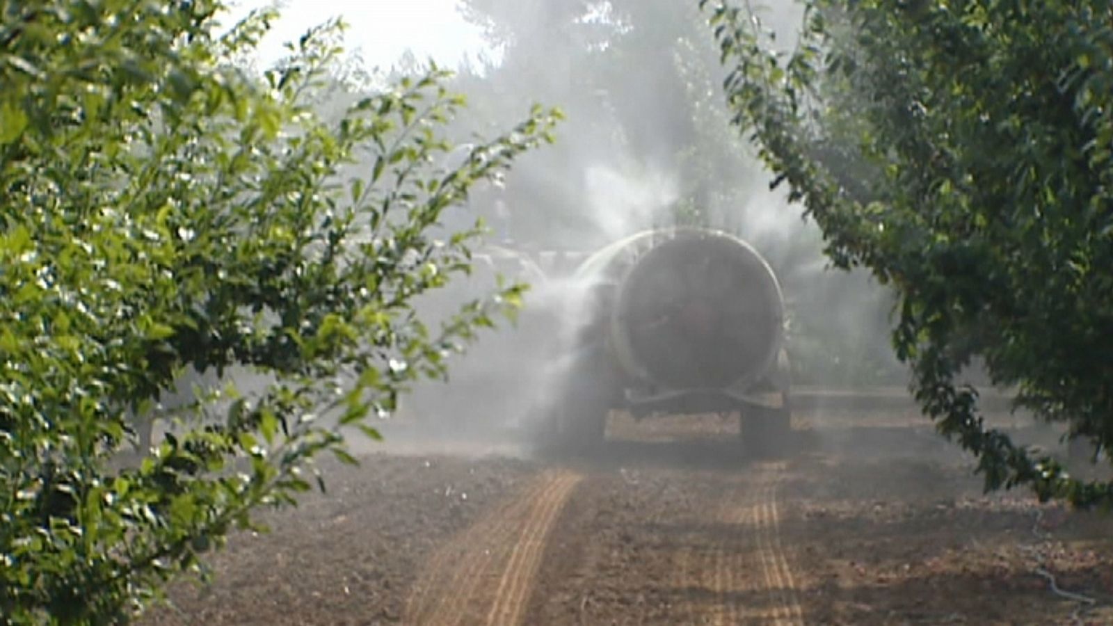 Un agricultor fumigant el camp
