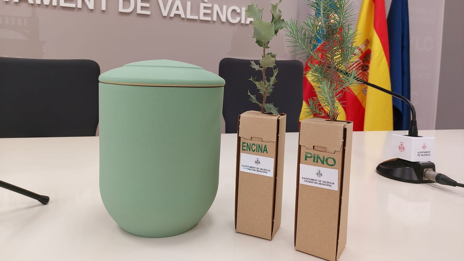 Urnes arbre de l'Ajuntament de València