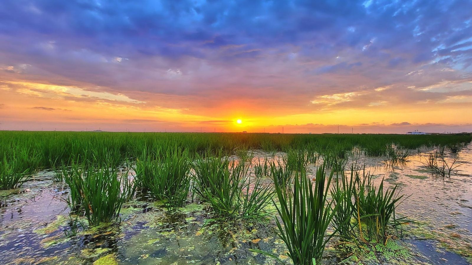 MARENY DE BARRAQUETES, LA RIBERA BAIXA