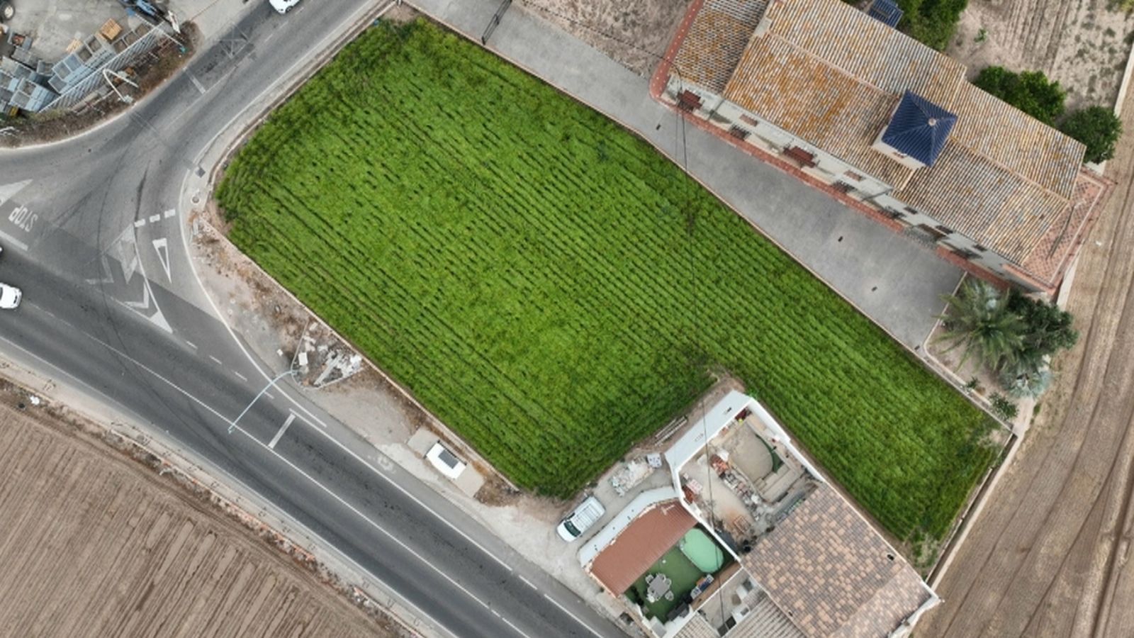 Drons per a monitorar l'horta valenciana