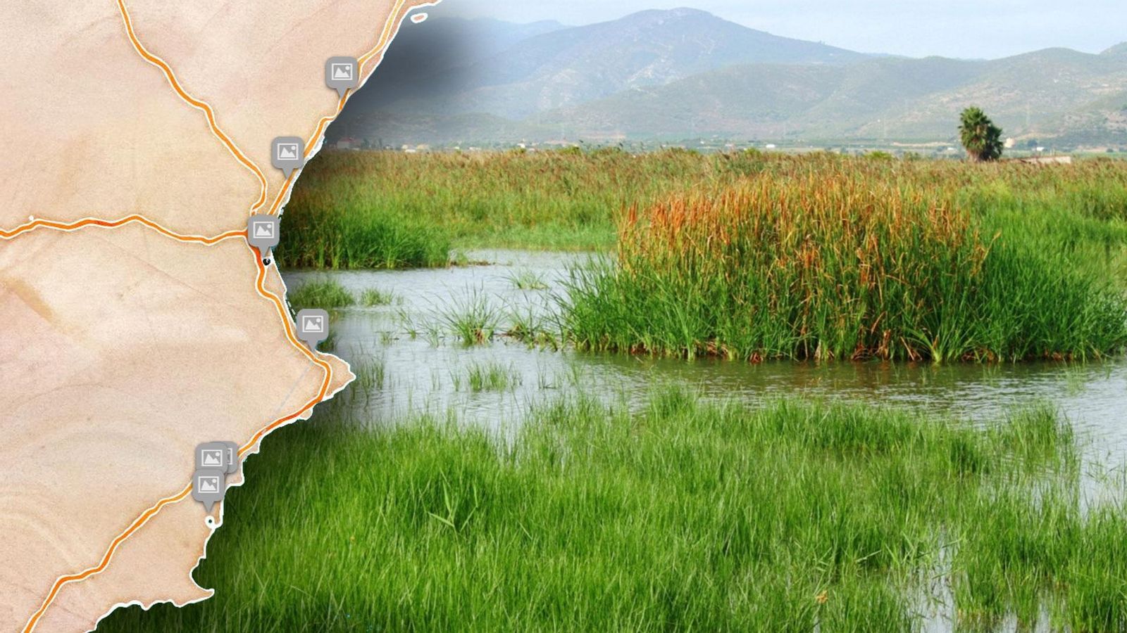 Explora els set aiguamolls valencians amb reconeixement internacional