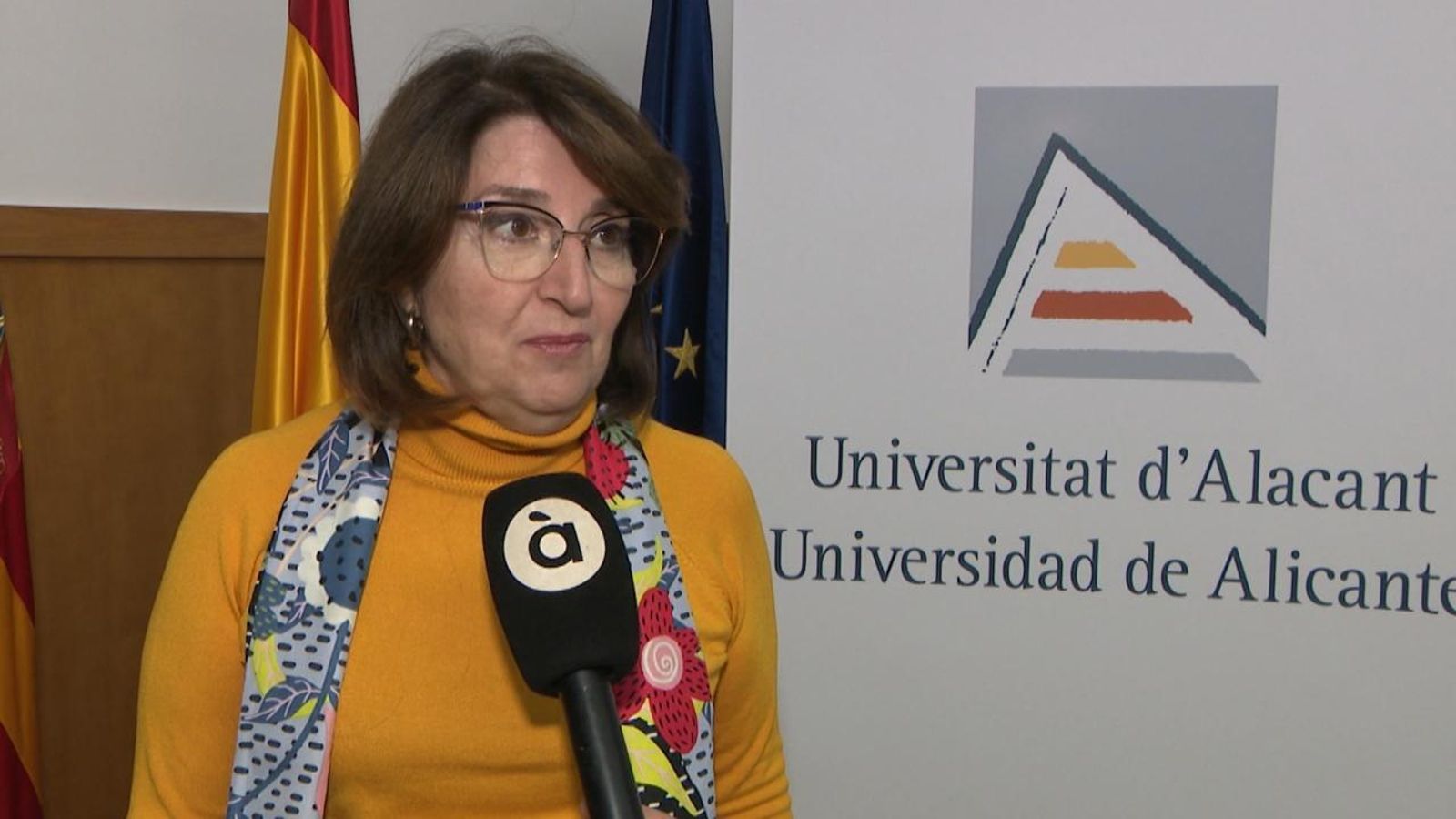 La rectora de la Universitat d'Alacant, Amparo Navarro Faure