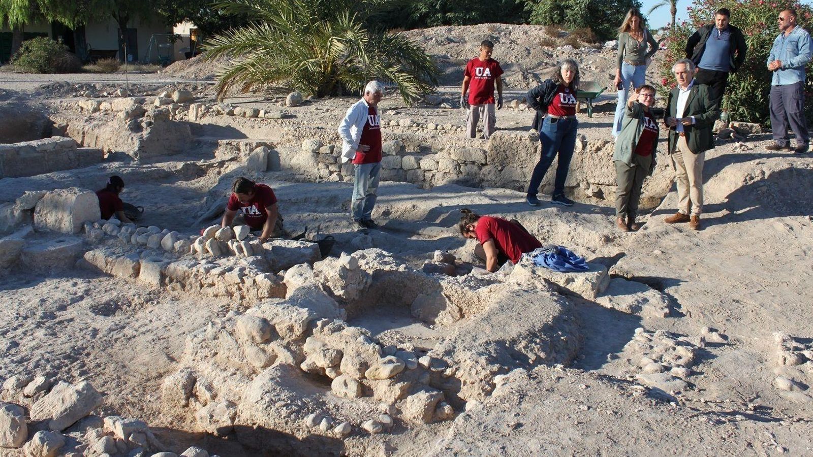 Jaciment de L'Alcudia
