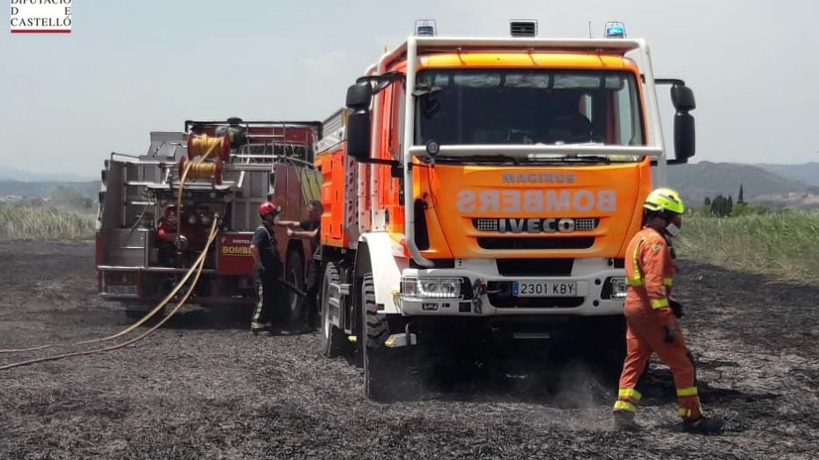 Els bombers en una zona de cultiu abandonat d'Almenara on han hagut d'actuar a primeres hores de la vesprada