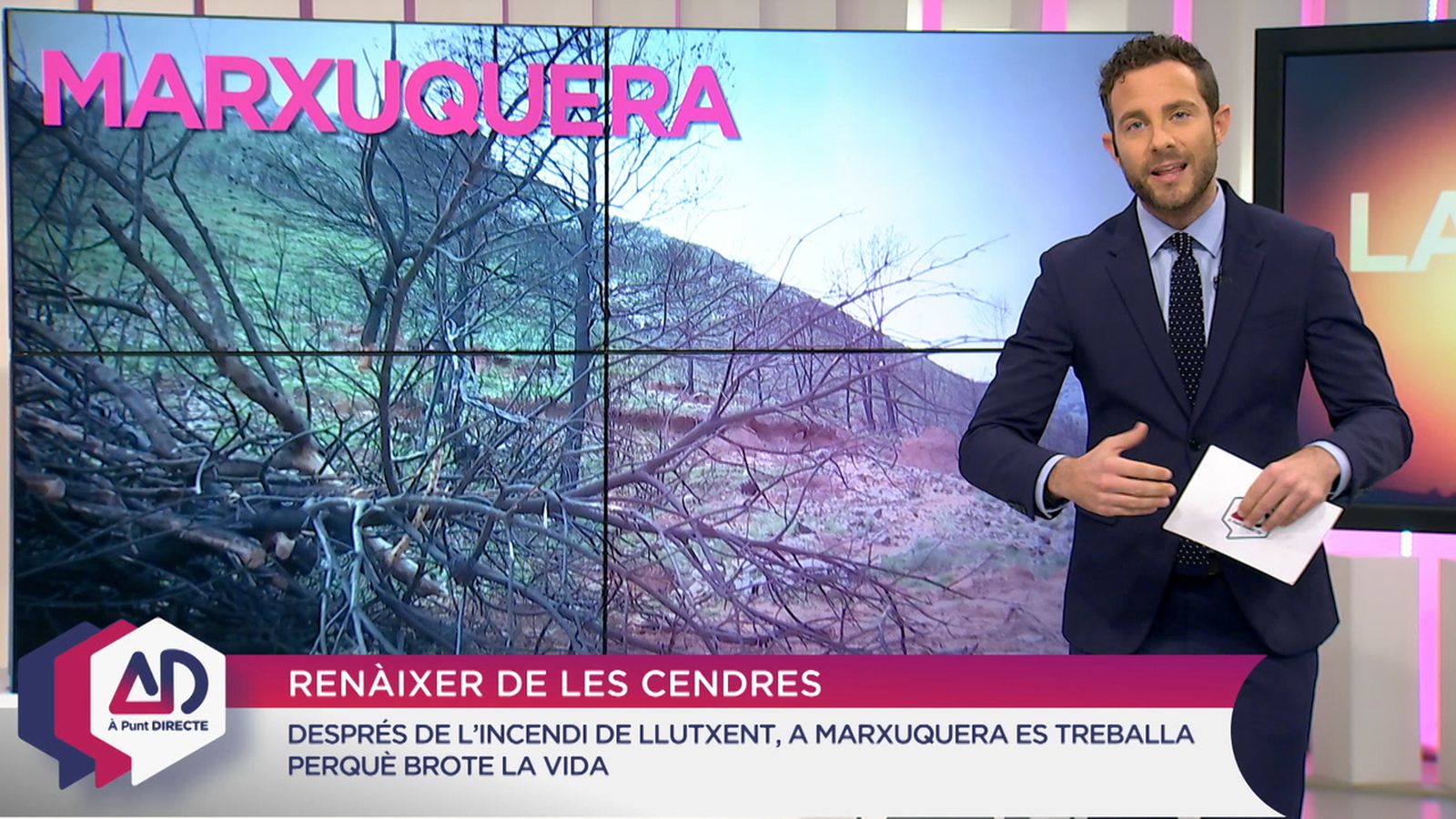 Renàixer de les cendres