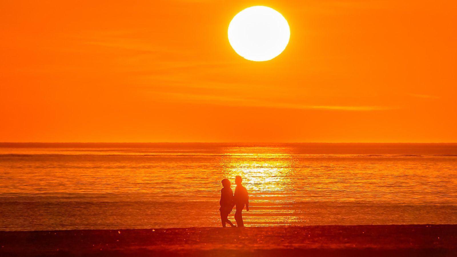 MASSALFASSAR. L'HORTA NORD