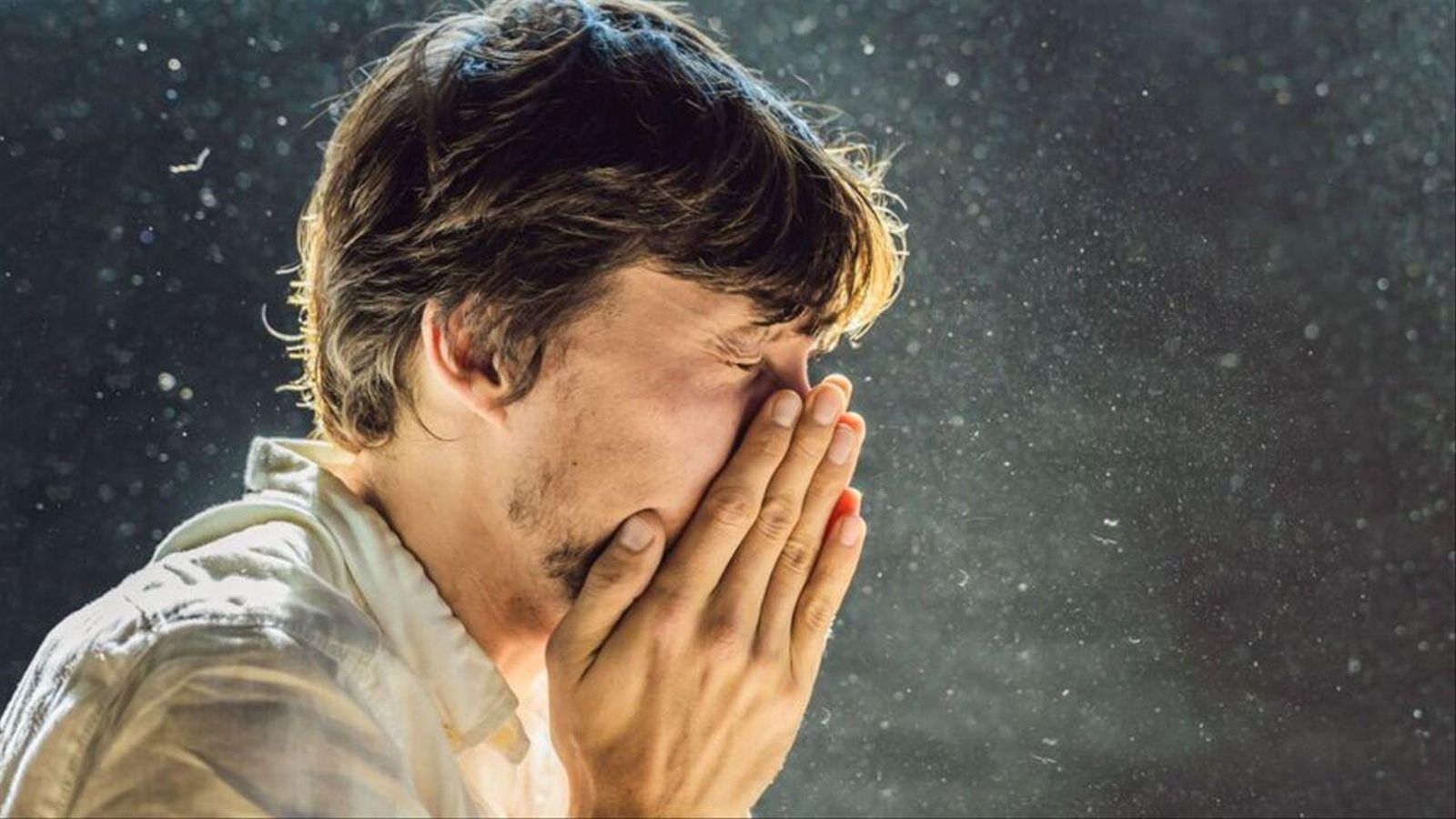 Una cinquena part de la població valenciana és al·lèrgica