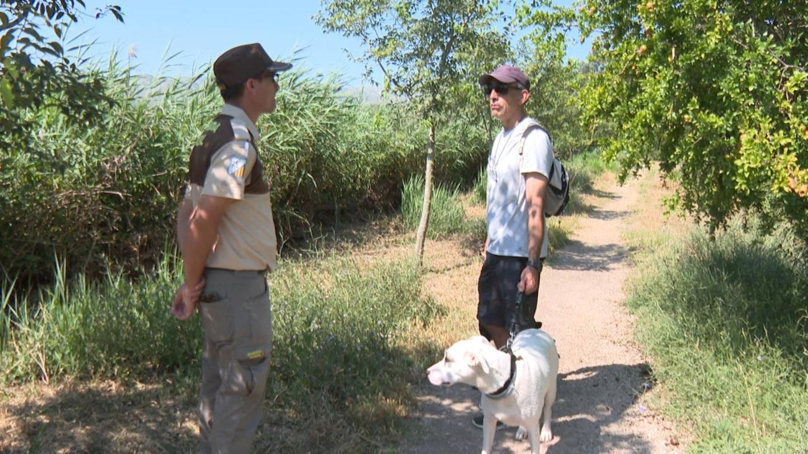 Els gossos solts poden espantar i posar en perill les espècies autòctones en època de cria
