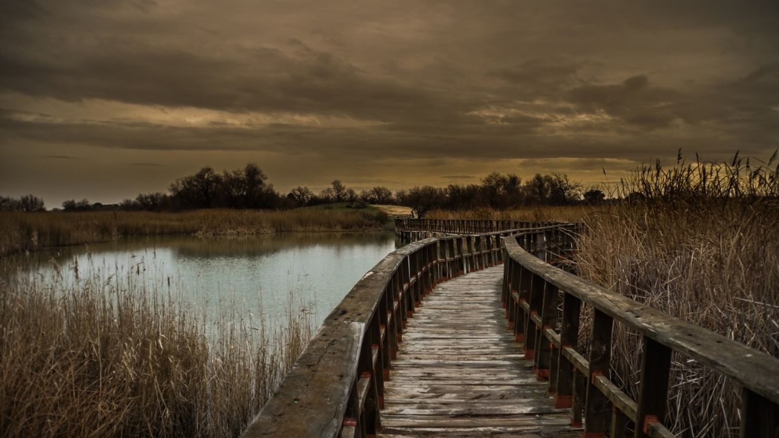 Algunes parts del parc nacional de Las Tablas de Daimiel, cal travessar-les mitjançant les passarel·les