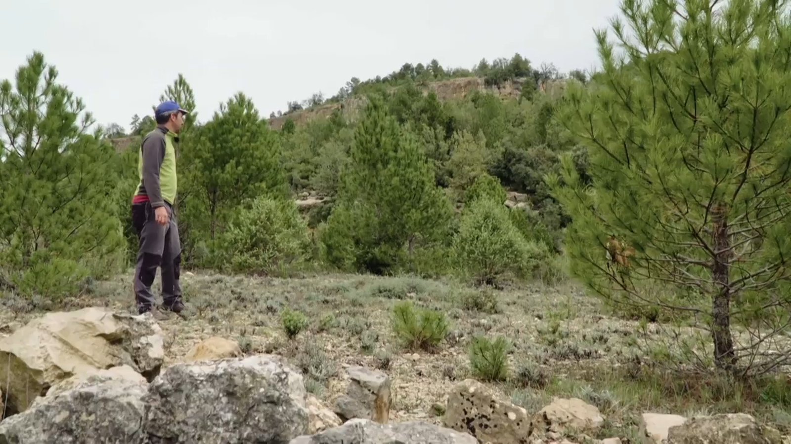 De mar i bancal | Activem les alarmes
