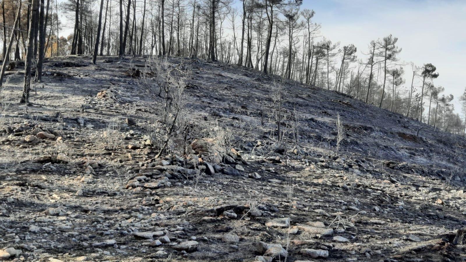 Una imatge del barranc de la Pudia