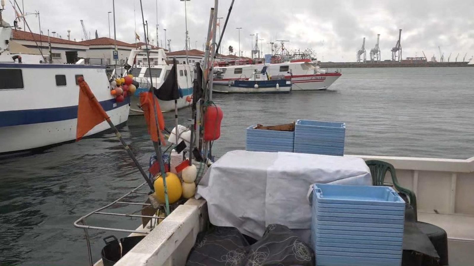 Retalls a la pesca d’arrossegament