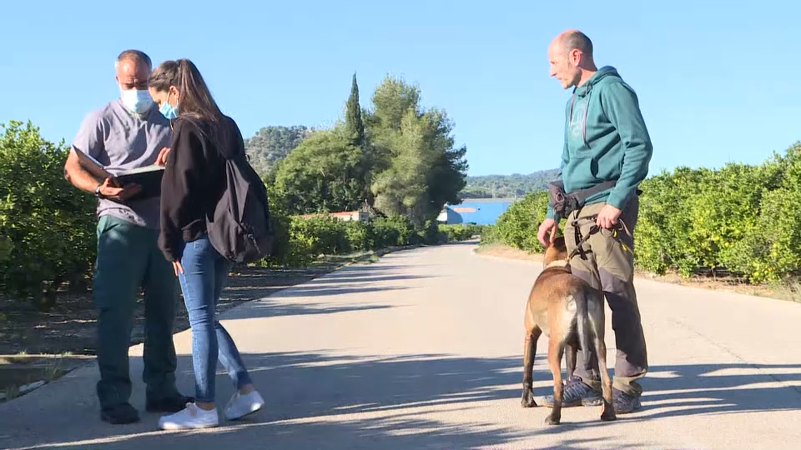 Imatges de la cerca d'aquest dimarts