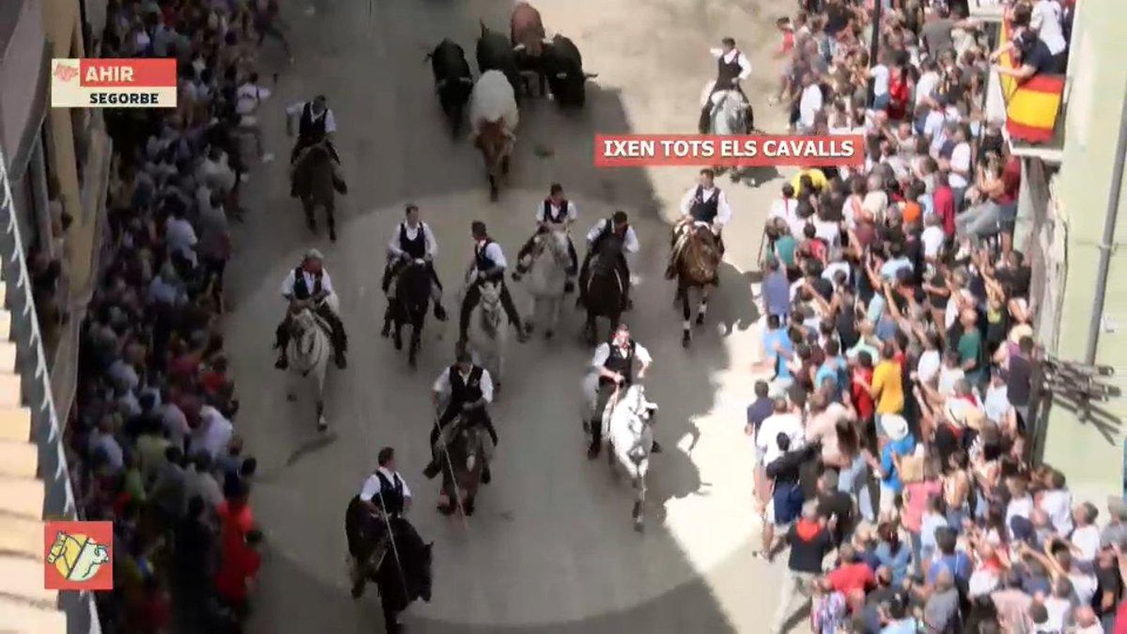 Un moment de la retransmissió de l'Entrada de Bous i Cavalls per À Punt