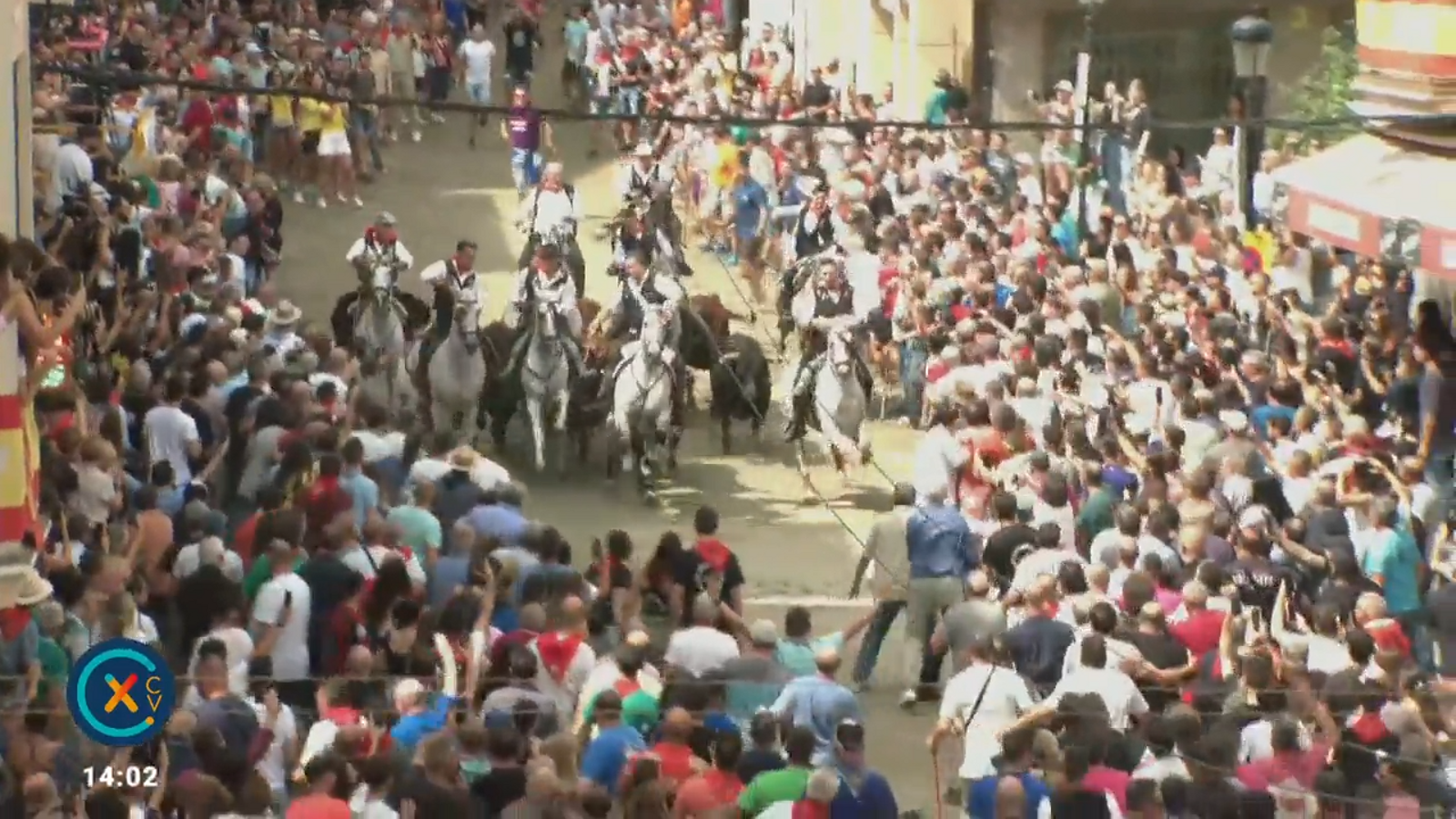 09.09.2025 | Entrada de bous de Segorbe